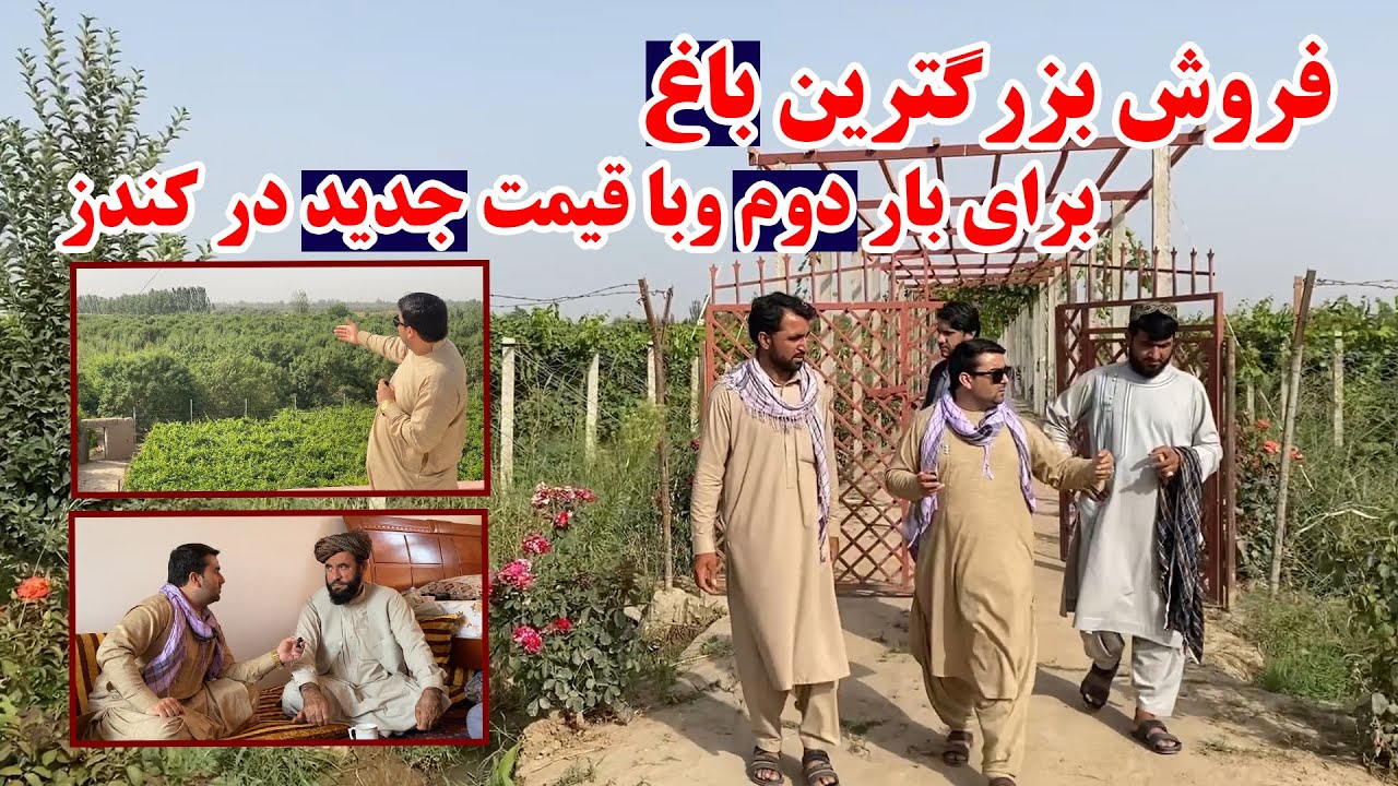 بزرگترین باغ در کندز برای بار دوم و با قیمت جدید به فروش رفت | باغ بزرگ با داشتن بیشترین درخت میوه