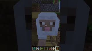 Minecraft_building swimming_2 pool #ps5gameplay #minecraft #Sashagaming-india