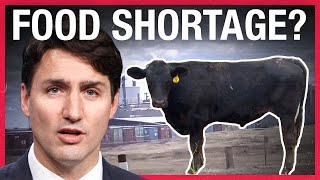 Alberta rancher speaks out: Will Cargill's COVID-19 shut-down result in a meat shortage?