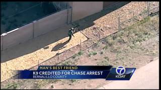 BCSO K-9 helps apprehend fleeing man