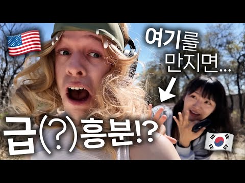 한국인이 미국인 어깨를 만지다가 욕(?)을 먹게되는 이유 | 문화차이