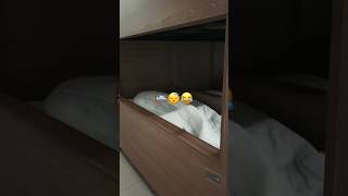 my favourite thing to do at office 🛌😴😂 #devsinc