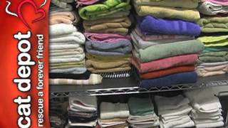 Cat Depot Virtual Tour: Laundry Room