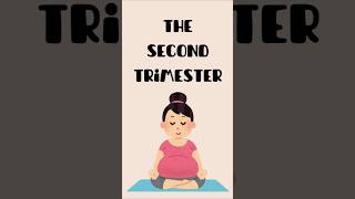 The second Trimester #pcod #diet#health#baby#dailyshorts #dailyshorts #mom #fertilitytips#trimister