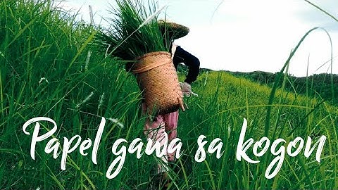 Handmade Paper From Cogon Grass