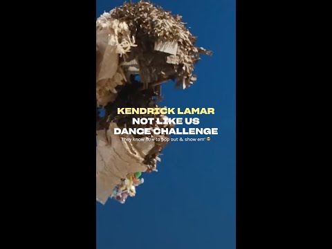 They're popping off to Kendrick Lamar's Not Like Us! 🔥😮‍💨