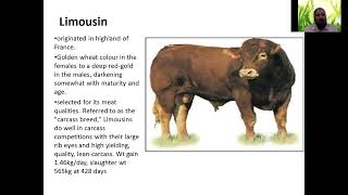 Livestock Exotic Beef Breeds lecture-3 | Veterinary| Animal Husbandry | Animal science| DVM
