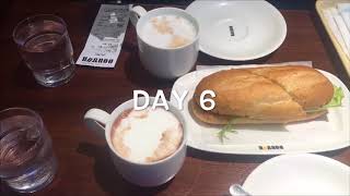 Hokkaido Vlog Day 5 & 6