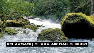 Suara Alam Dan Kicauan Burung Menenangkan I 5 Jam Terapi Anti Stress  Tetap Semangat Saat Kerja I