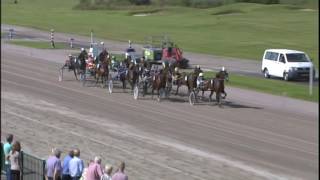 Vidéo de la course PMU PRIX BIMBO DE FOLIE