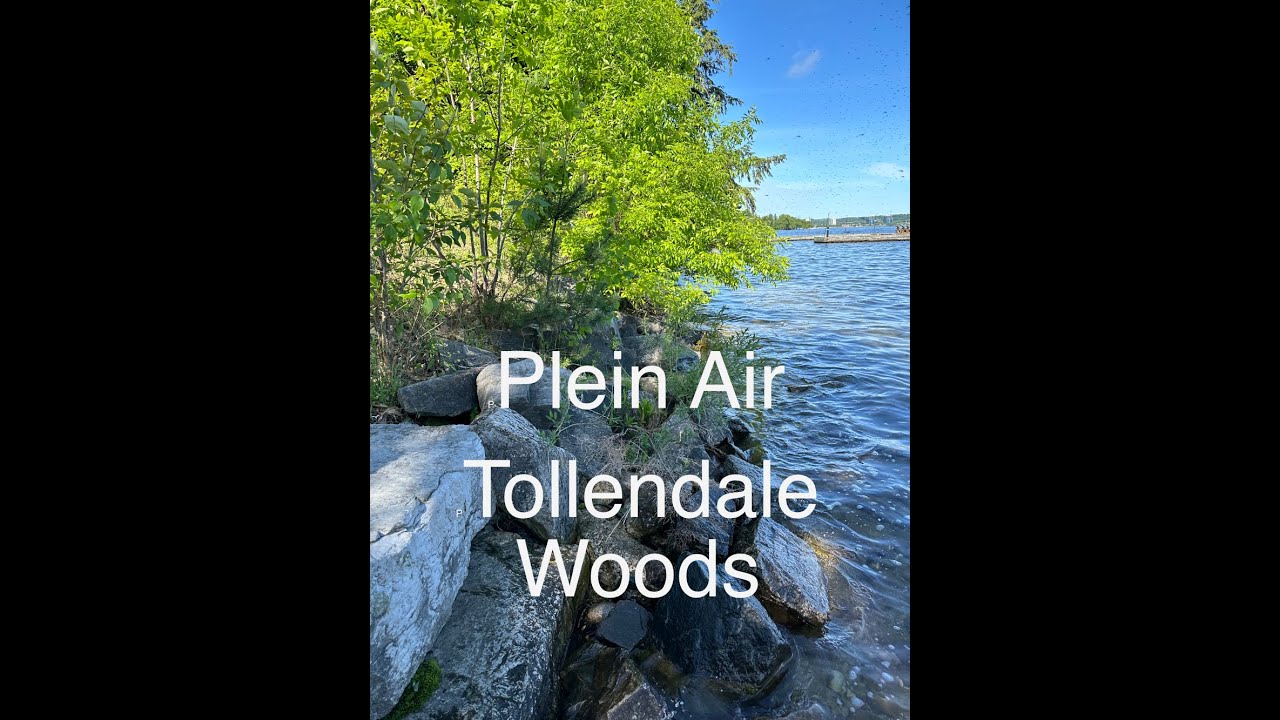 Plein Air at Tollendale Woods Park in Barrie, Ontario, Canada.