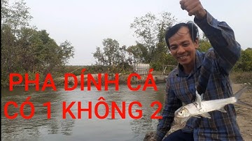 Câu cá Tráp, cá Hanh đầm thiên nhiên ngày cuối tuần || Bream Fishing || Thiên Nhiên Muôn Loài