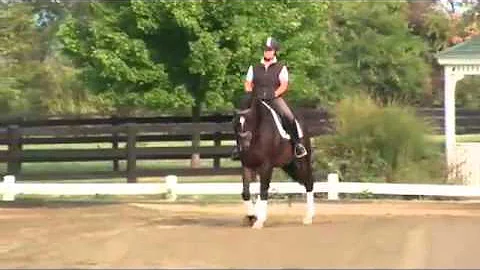 Mary Flood Dressage Today Video "Warmup" Part 1