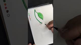 Cherry Drawing with Color Pencil 🍒 | Easy Realistic and Applying colour theory #art #shorts