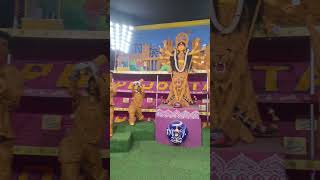 ওয়ার্ল্ডকাপ থিম পূজো।। ytshorts viral durgapuja kolkata worldcup trending puja festival yt