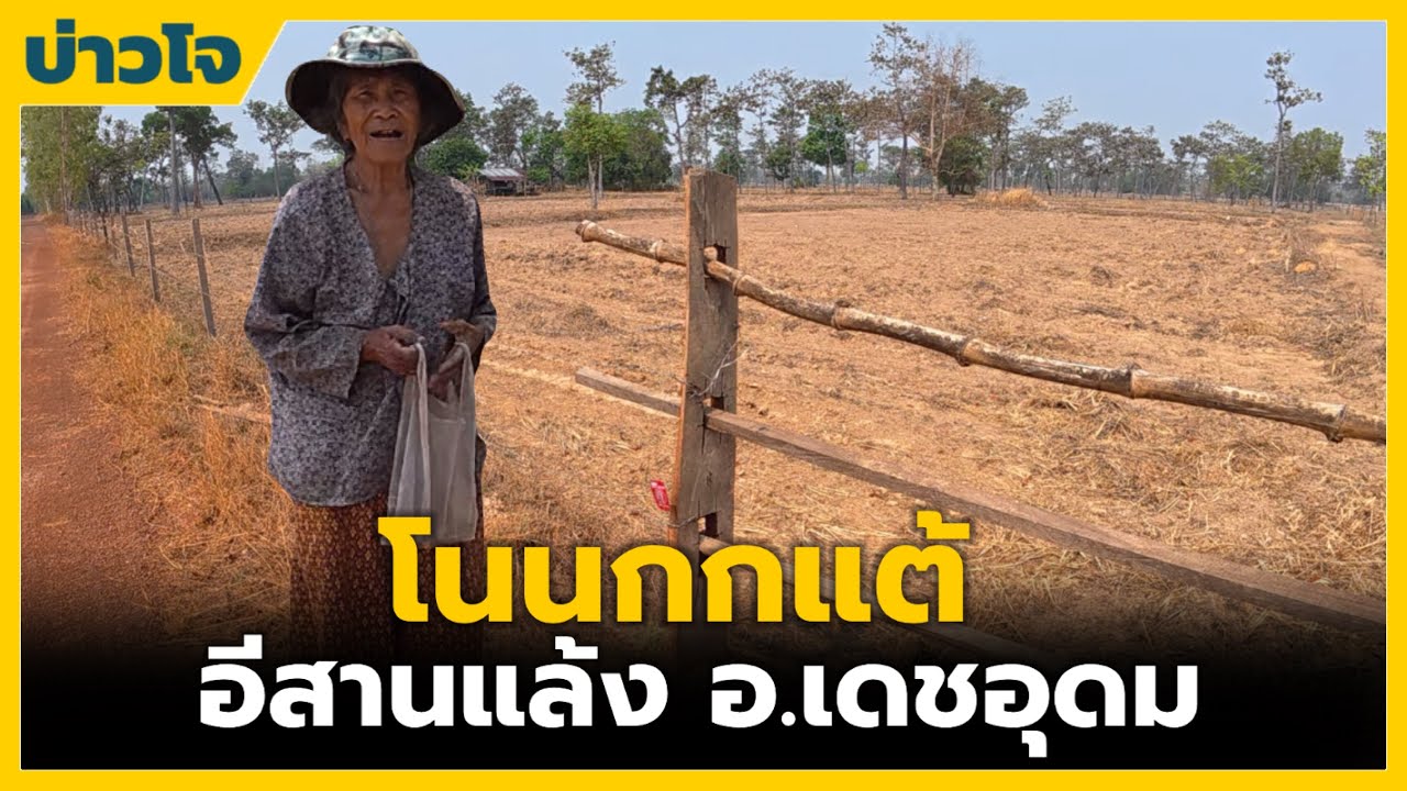 ชนบทอีสาน | อีสานแล้ง บ้านโนนกกแต้ อ.เดชอุดม จ.อุบลราชธานี