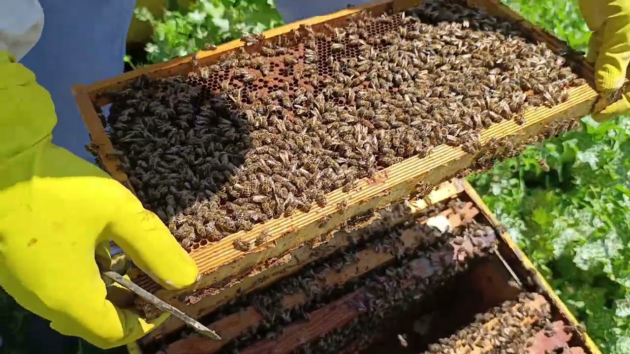 13 Απριλίου 2025