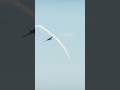 Incredible Sukhoi Su-33 stunt takes over the sky in War Thunder