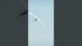 Incredible Sukhoi Su-33 stunt takes over the sky in War Thunder