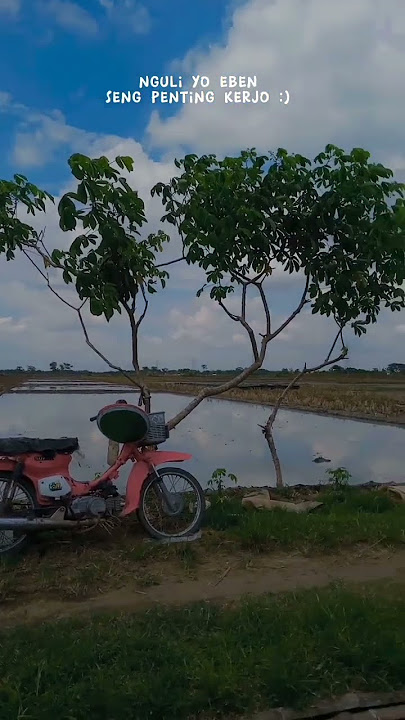 Download lagu sak dermo ngelampahi. #ngawi #storywa #story #2022