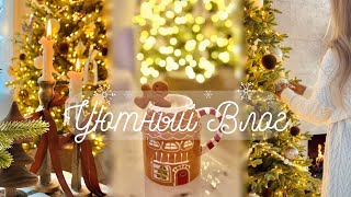 : VLOG I   I  ,      ,  , 