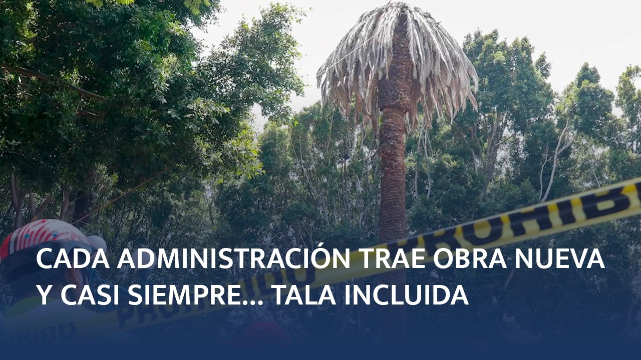 Si los árboles de Puebla pudieran hablar… pedirían amparo