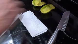 stratifying pawpaw seeds for planting