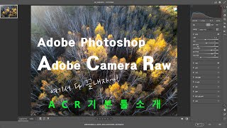 Let's learn the basic tools of ACR [Adobe Camera Raw] #AdobePhotoshop2025 #PhotoshopTutorial #Pho...