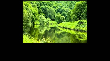 تلاوة نادرة للشيخ سعد الغامدي سورة الاحزاب