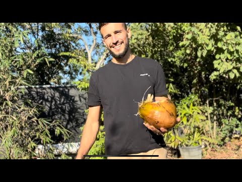 Coconut Chopping | Daily Pull-up Challenge Vlog Day 7