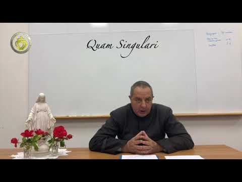 Quam Singulari Quam Singulari