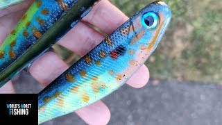 Let's Try & HAND POUR A Pumpkin Seed SUNFISH; Soft Plastic Swimbaits screenshot 5