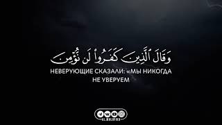 Чтец: Мухаммад Аль-Люхайдан Сура 34 Саба аяты 31-33 Красивое чтение Кур'ана!