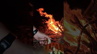 Relaxing Campfire Cooking • Crispy Pork Belly In The Deep Forest (ASMR) #asmrfood #outdoorcooking
