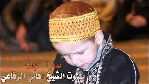 تلاوة عذبة لسورة البلد بصوت الشيخ هاني الرفاعي