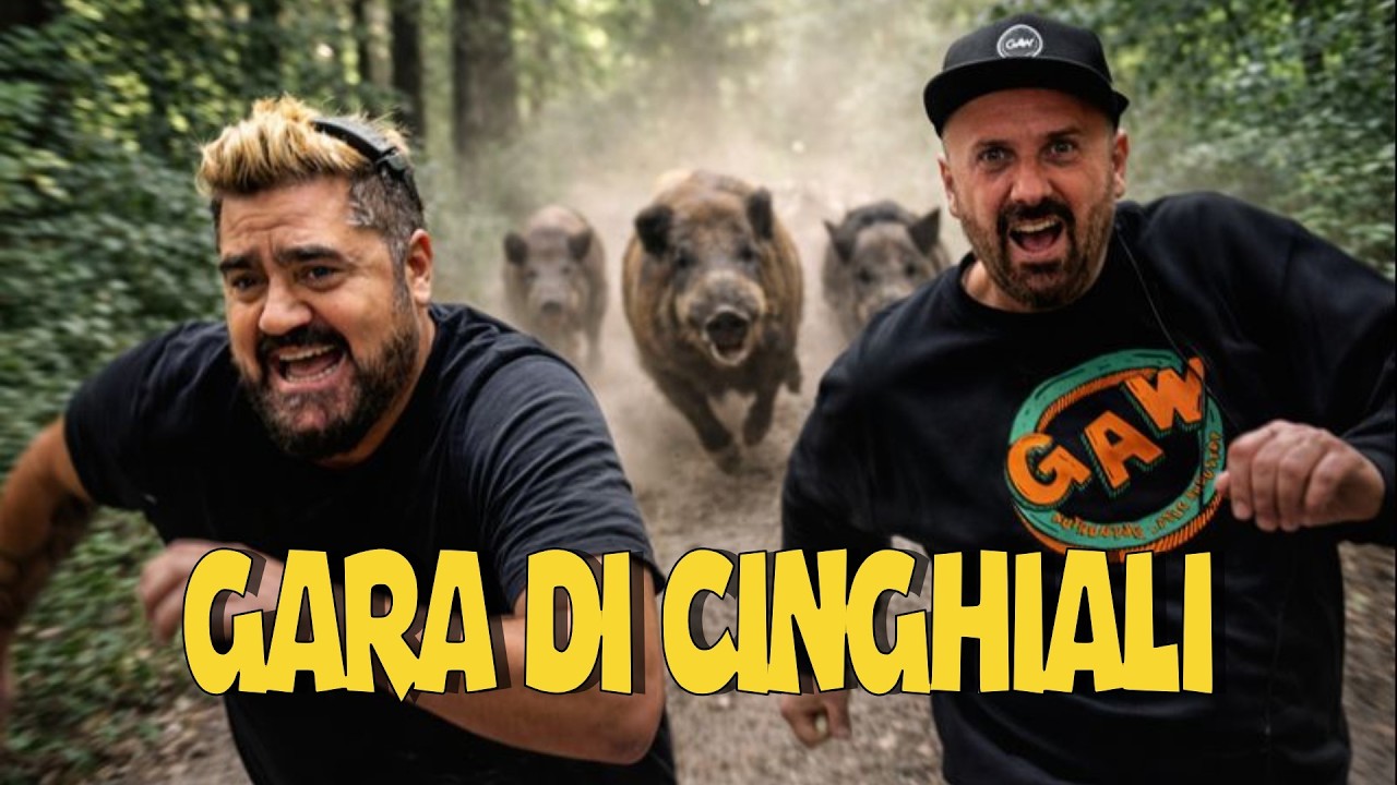 GARA DI CINGHIALI