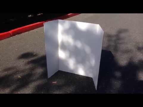 Safe, natural way to watch a partial solar eclipse.