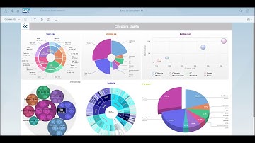 NEED4VIZ - SAP WEBI CHART ADD-ON Catalog Part 1 (Circulars / Gauges and times )