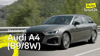 Steckbrief: Audi A4 (B9/8W) screenshot 2