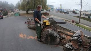 West Coast Muscle Saws Super Pro 125 kart 101B Chainsaw