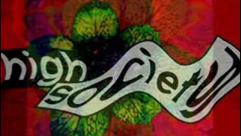 Paradise Connection  -  Creation