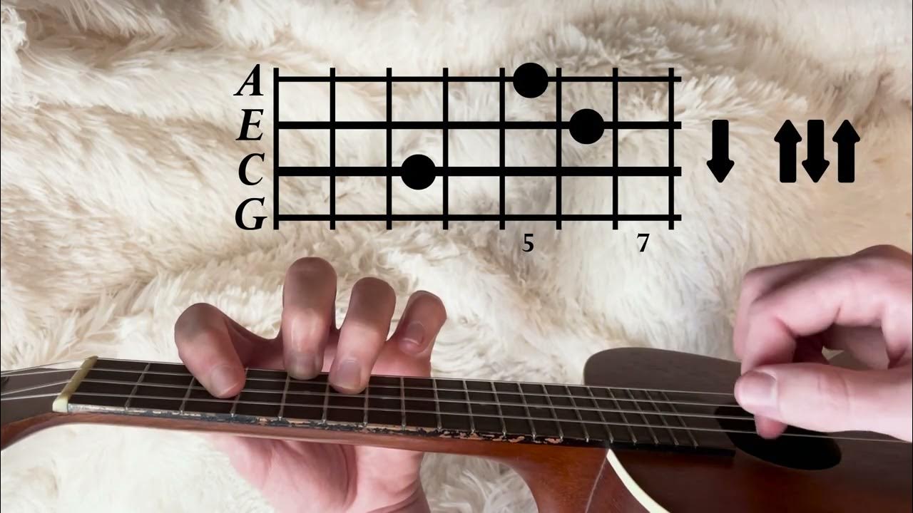 Haley Heynderickx The Bug Collector // Ukulele Tutorial (Easy) YouTube