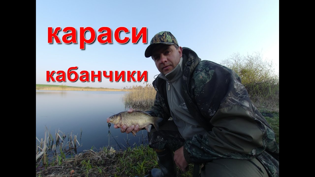 Клев на оке сегодня
