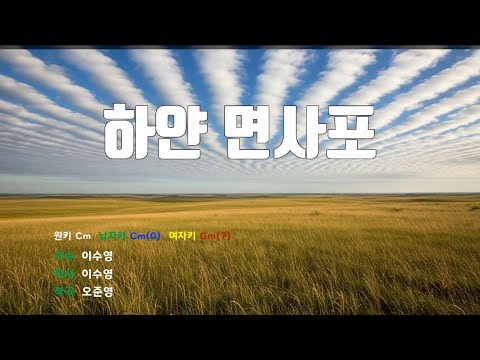 [은성 반주기] 하얀면사포 - 이수영 노래 / MR / 가사 / 반주