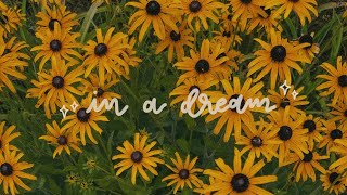 In A Dream (acoustic rough recording)