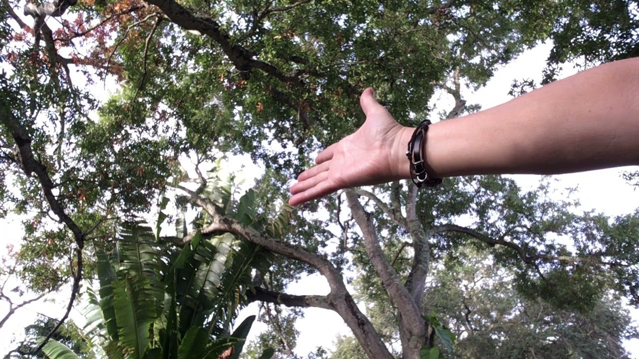 Allowing Source energy to flow through