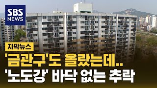 '금관구'도 올랐는데…'노도강' 바닥 없는 추락 (자막뉴스) / SBS