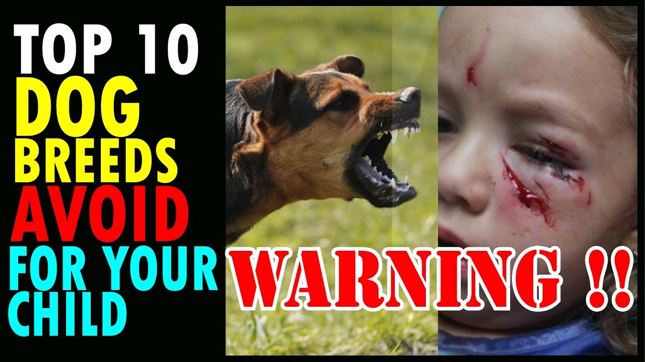 most dangerous dogs for kids