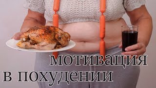 Похудение! Сайт для худеющих! Обзор! Не получается похудеть у того, кто ничего для этого не делает! Похудение! Сайт для худеющих! Обзор! Не получается похудеть у того, кто ничего для этого не делает!