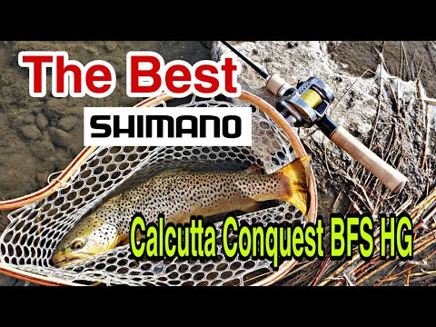 best yo zuri lure for trout Yo-Zuri R1480 Hydro Monster Shot - 5-1/2in establishing the desired depth Junior Contact Size:SLX 70 XGA Dollarama Duramax Tackle Treys